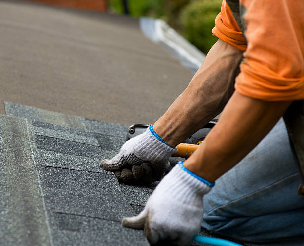 Best Roof Leak Repair  in Crystal City, MO